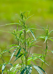 Similar image 296170