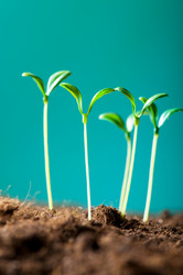 Similar image 296171