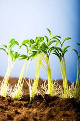 Similar image 296172