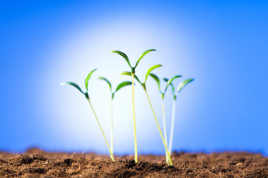 Similar image 296176