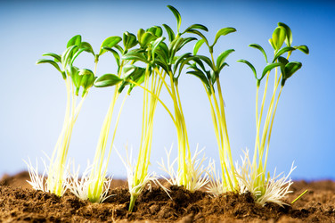 Similar image 296178