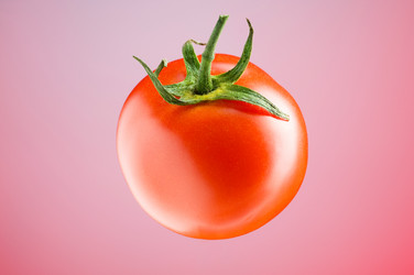 Similar image 296196