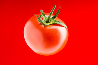 Similar image 296200