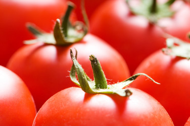 Similar image 296226