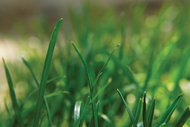 Similar image 296258