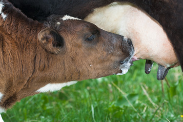 Similar image 296266