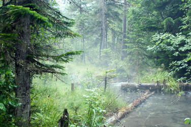 Similar image 296309