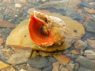 Similar image 296444