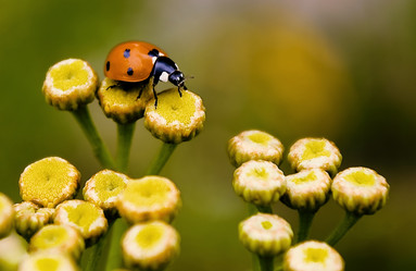 Similar image 296457