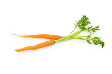 Similar image 296565