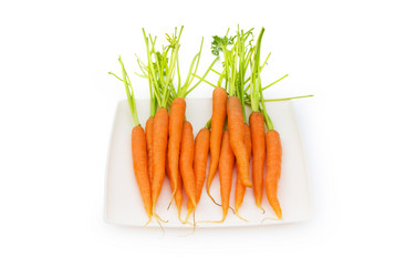 Similar image 296572