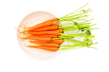 Similar image 296581