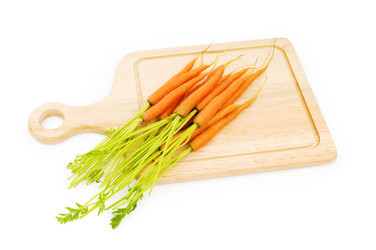 Similar image 296584