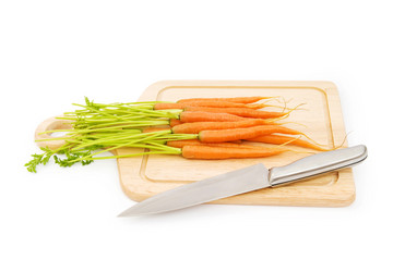 Similar image 296588