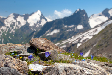 Similar image 296630