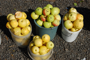 Similar image 296642