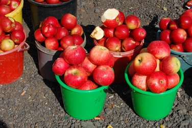 Similar image 296643