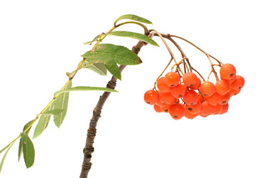 Similar image 296655