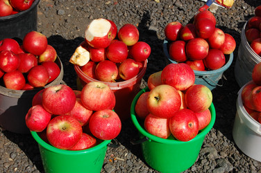 Similar image 296660