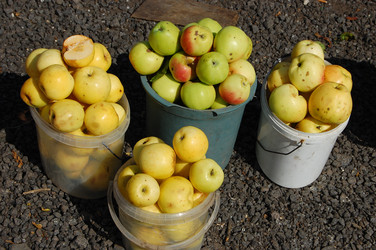 Similar image 296663