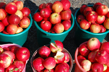 Similar image 296664