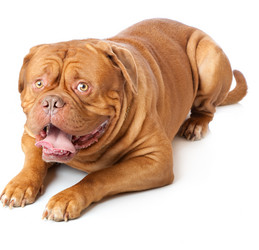 Similar image 296690