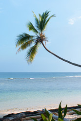 Similar image 296810