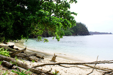 Similar image 296858