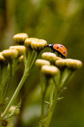 Similar image 296862