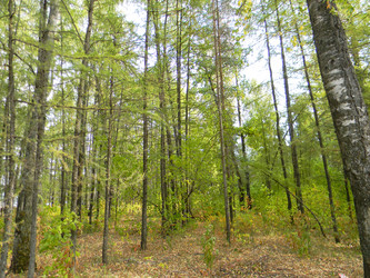 Similar image 296964