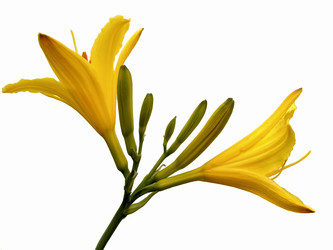 Similar image 297016