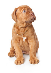 Similar image 297017