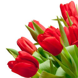 Similar image 297021