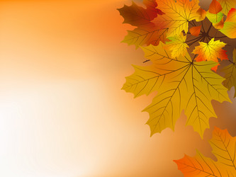 Similar image 297041