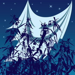 Similar image 297053