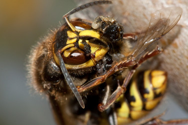 Similar image 297088