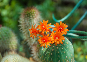 Similar image 297185