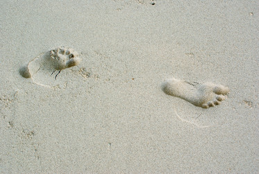 Similar image 297186