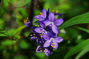 Similar image 297358