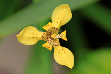 Similar image 297365