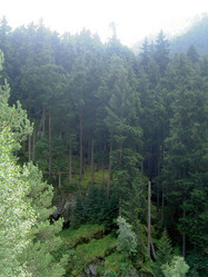 Similar image 297376