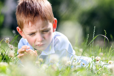 Similar image 297381