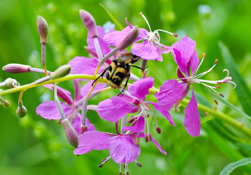 Similar image 297415