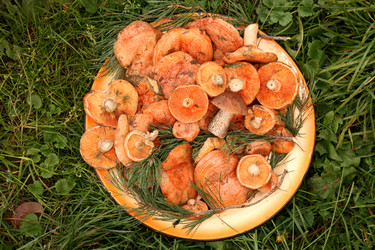 Similar image 297480