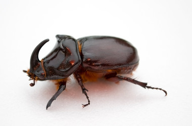 Similar image 297551