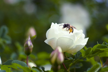 Similar image 297637