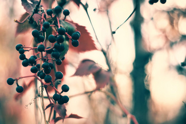 Similar image 297651