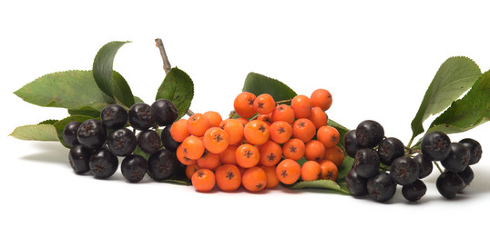 Similar image 297694