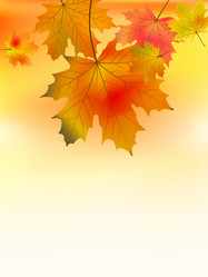 Similar image 297696