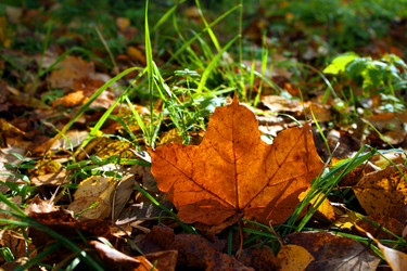 Similar image 297697